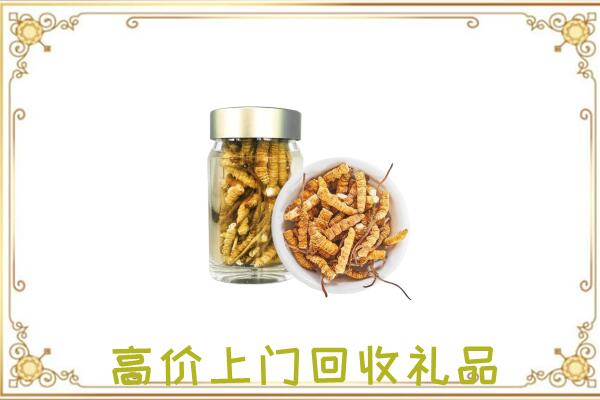 酒泉周边回收虫草